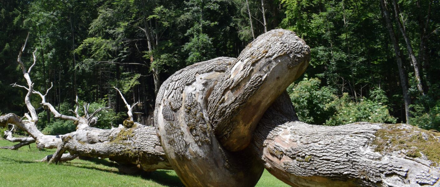 Parco Arte Sella Valsugana Trentino