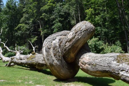 Parco Arte Sella Valsugana Trentino