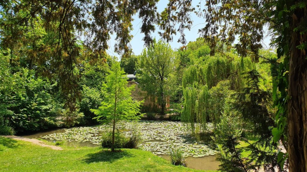 il parco degli alberi parlanti laghetto