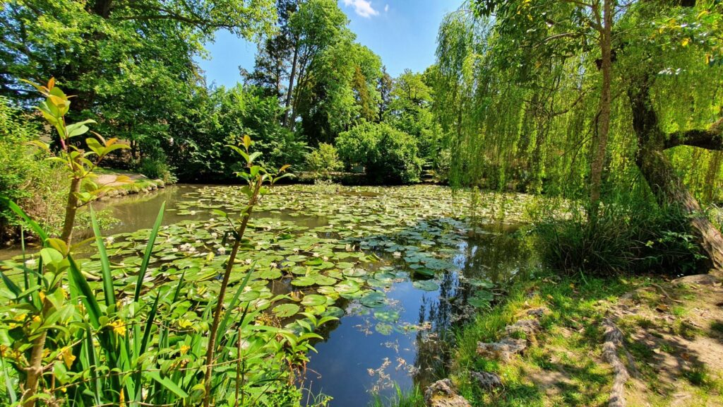 il parco degli alberi parlanti laghetto 2